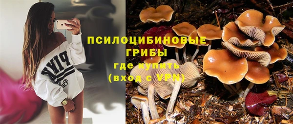 дмт Алексеевка