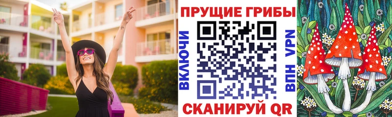 как найти   Заводоуковск  Галлюциногенные грибы Cubensis 
